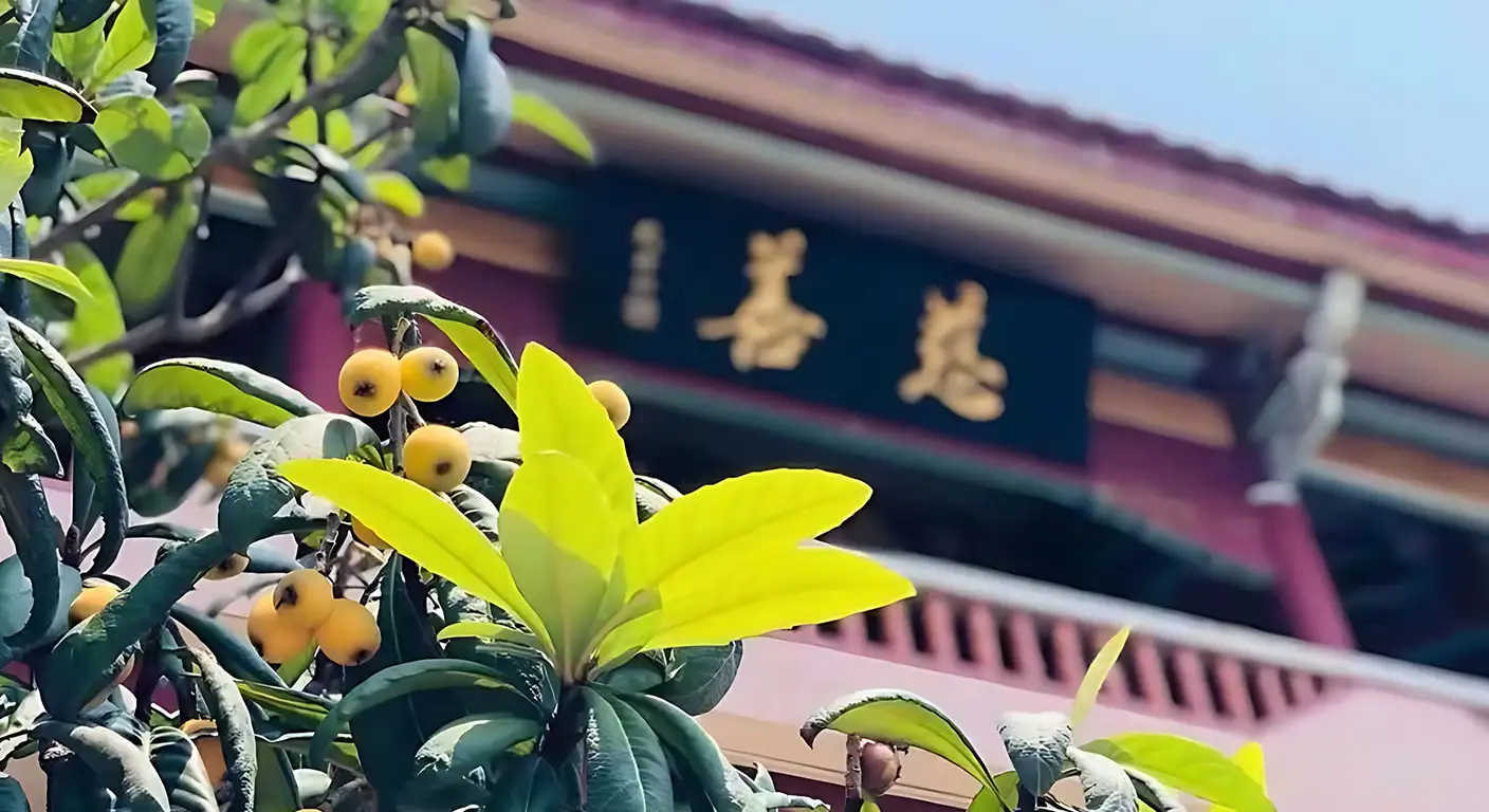 服务理念